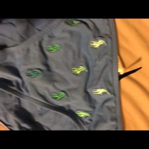 Ralph Lauren ombré green horse bikini bottoms